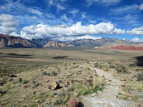 Rock Garden Trail