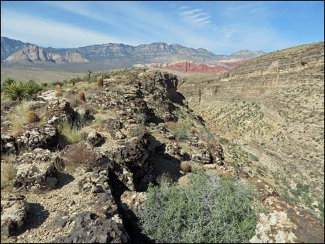 Rock Garden Trail