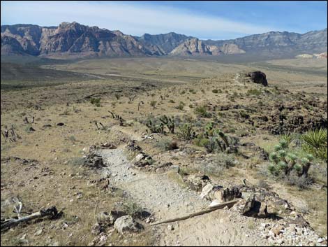 Rock Garden Trail