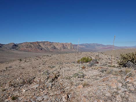 Birdspring Peak