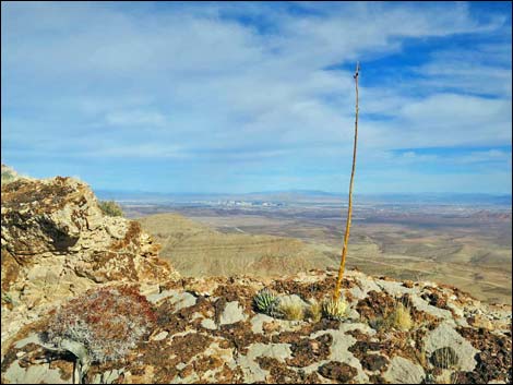 Birdspring Peak