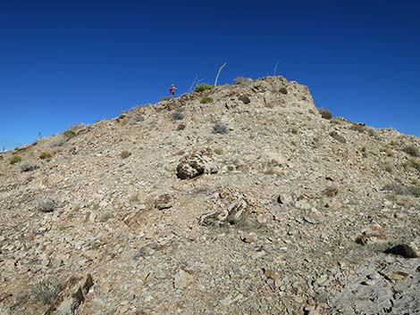 Birdspring Peak