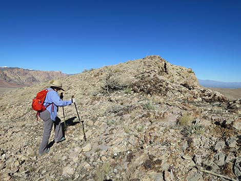 Birdspring Peak