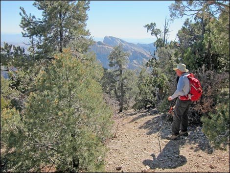 Bridge Mountain Trail