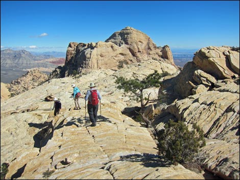 Bridge Mountain