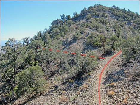 Bridge Mountain Trail