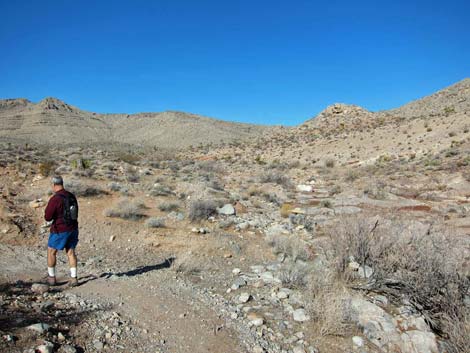 Ridgeline Loop Trail