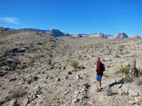 Ridgeline Loop Trail