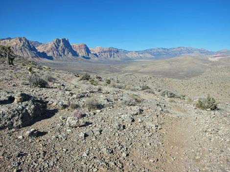 Ridgeline Loop Trail