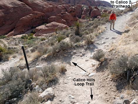 Calico 2 Trail