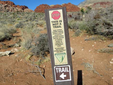 Calico Basin Trail