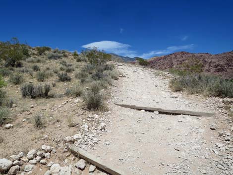 Calico Basin Trail