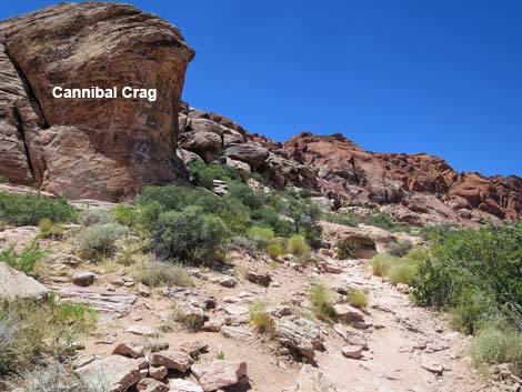 Calico Basin Trail