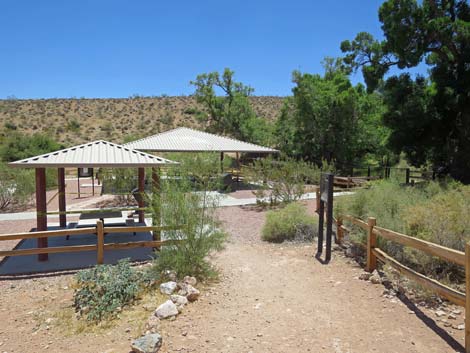 Calico Basin Trail