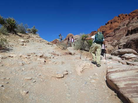 Calico Hills Loop Trail