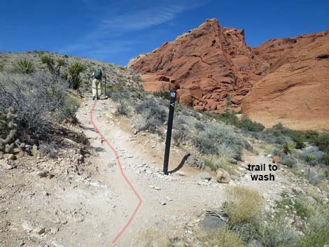 Calico Hills Loop Trail