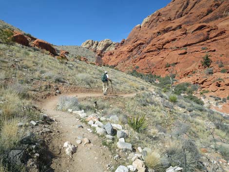 Calico Hills Loop Trail