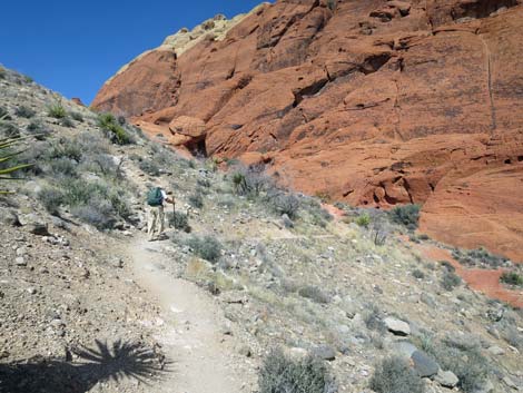 Calico Hills Loop Trail