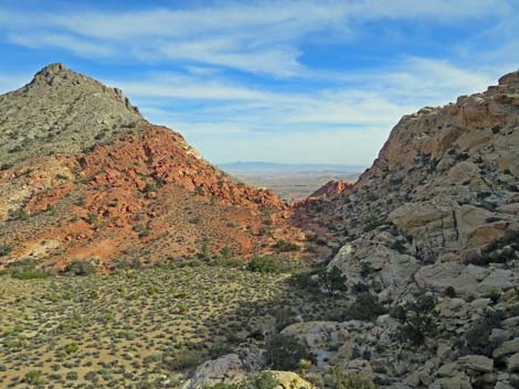 Calico Hills Loop Trail