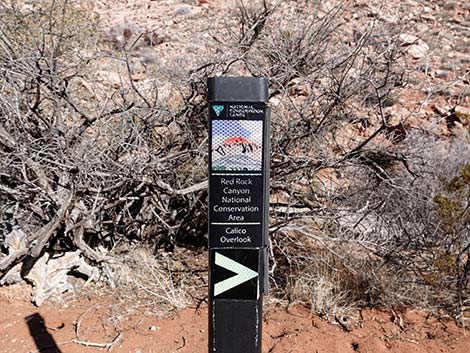 Calico Basin Overlook Trail