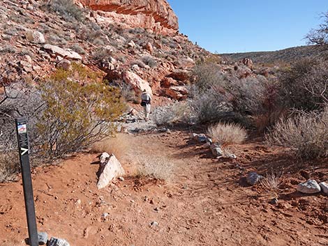 Calico Basin Overlook Trail