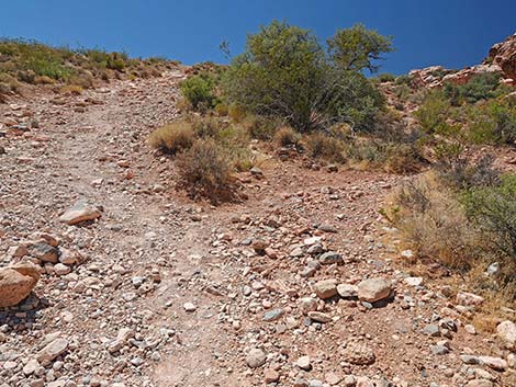 Calico Basin Overlook Trail