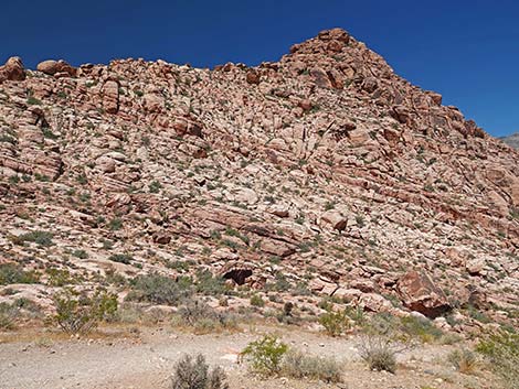 Calico Basin Overlook Trail