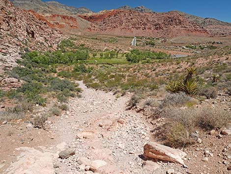 Calico Basin Overlook Trail