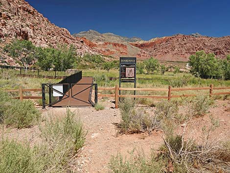 Calico Basin Overlook Trail