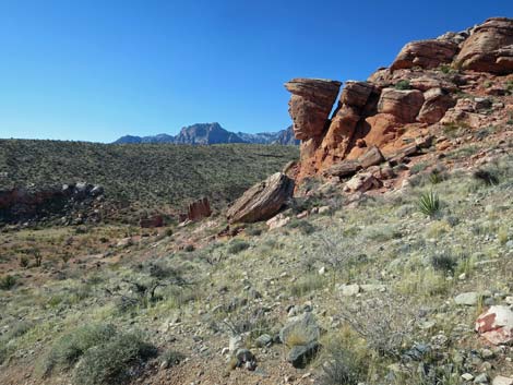 Calico Basin Overlook Trail