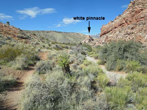 Calico Wash Trail