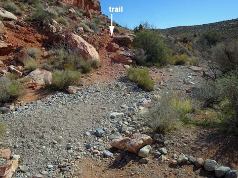 Calico Wash Trail