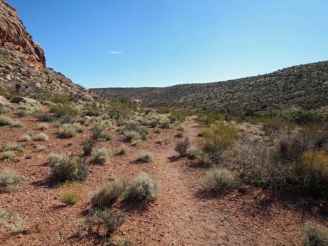 Calico Wash Trail