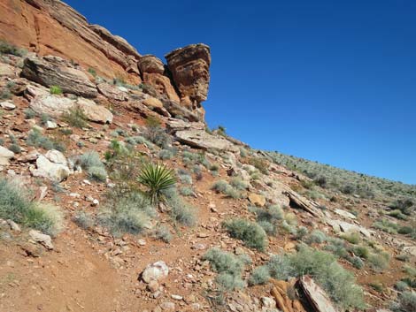 Calico Basin Overlook Trail