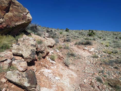 Calico Basin Overlook Trail