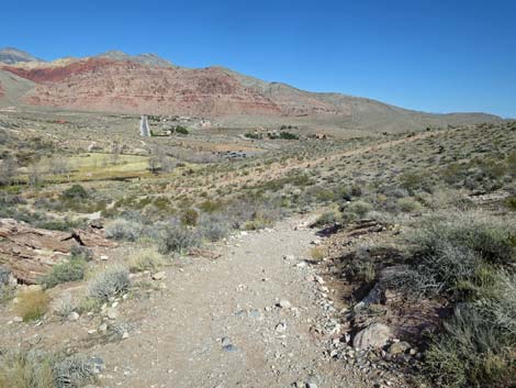 Calico Basin Overlook Trail