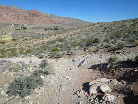 Calico Basin Overlook Trail