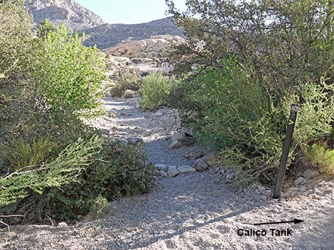 Calico Tanks Trail