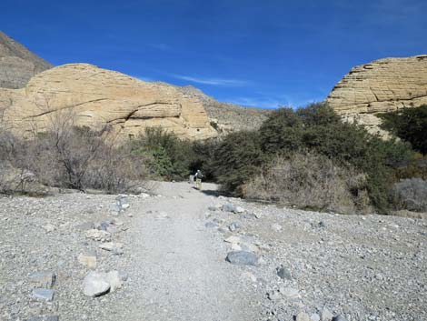 Calico Tanks Trail