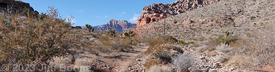 Calico Wash Trail