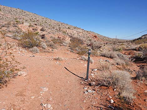 Calico Wash Trail