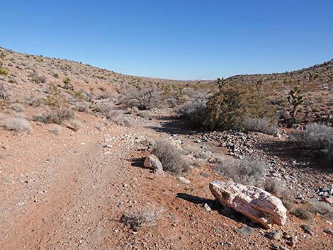 Calico Wash Trail