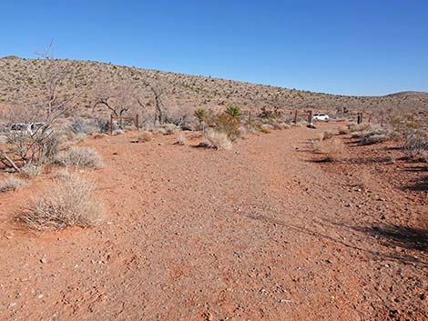 Calico Wash Trail