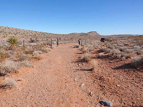 Calico Wash Trail