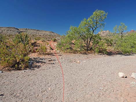 Calico Wash Trail