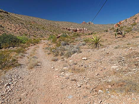 Calico Wash Trail