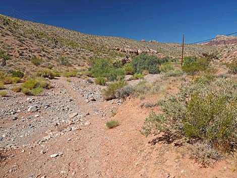 Calico Wash Trail