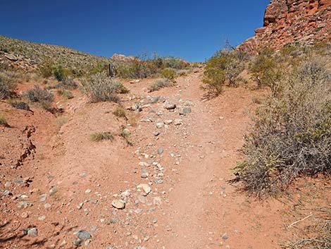 Calico Wash Trail