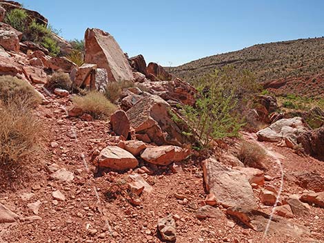 Calico Wash Trail