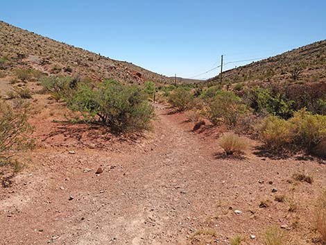 Calico Wash Trail